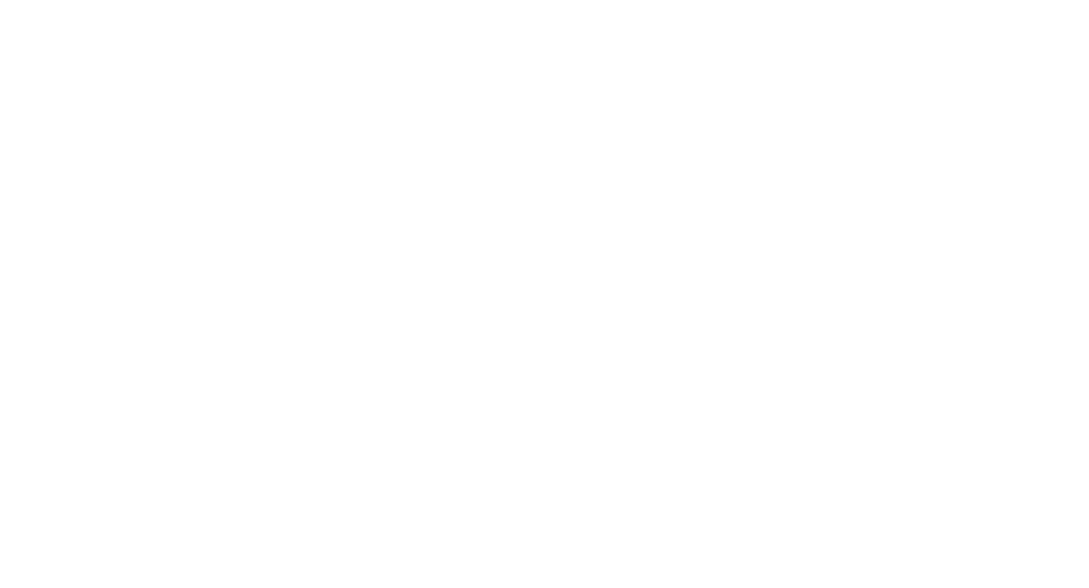 Leo Invest
